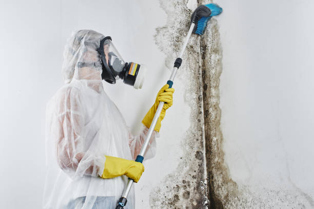 Best Mold Testing  in Oxford, GA
