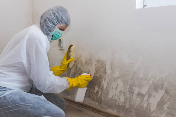 Best Mold Testing and Removal  in Oxford, GA