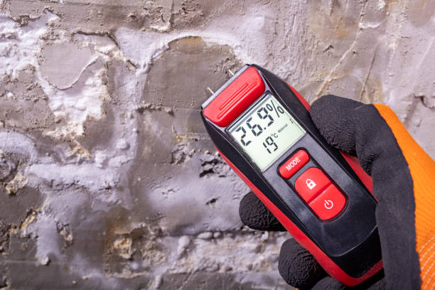 Best Emergency Mold Removal  in Oxford, GA