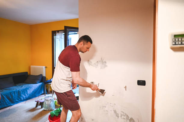 Best Toxic Mold Removal  in Oxford, GA