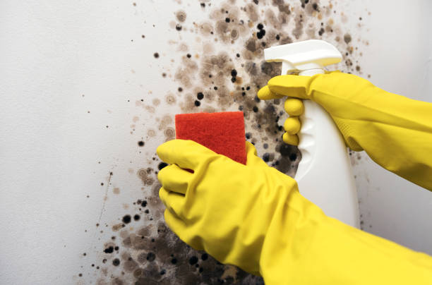 Best Crawl Space Mold Removal  in Oxford, GA