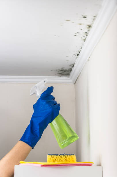 Best Home Mold Removal  in Oxford, GA